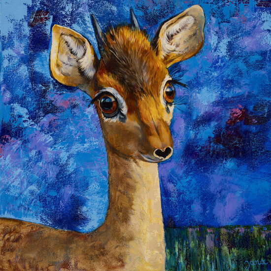 "Dik-dik" 40x40cm